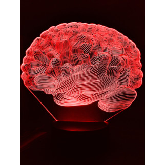Акриловий світильник-нічник Мозок червоний tty-n000914 - Інтернет-магазин спільних покупок ToGether