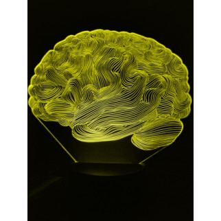 Акриловий світильник-нічник Мозок жовтий tty-n000915 - Інтернет-магазин спільних покупок ToGether
