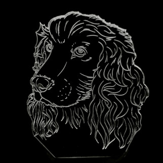 Акриловий світильник-нічник Собака 2 білий tty-n001112 - Інтернет-магазин спільних покупок ToGether