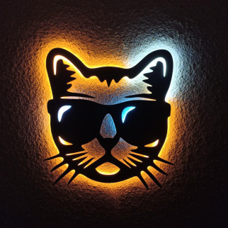 Панно декоративне картина на стіну Кіт в окулярах LED підсвітка 400х400 acr-p000096 - Інтернет-магазин спільних покупок ToGether