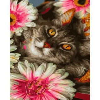 Картина за номерами "Кіт у квітах" 40х50 см - Інтернет-магазин спільних покупок ToGether