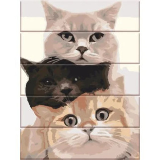 Картина за номерами на дереві "Котики" 30х40 см - Інтернет-магазин спільних покупок ToGether