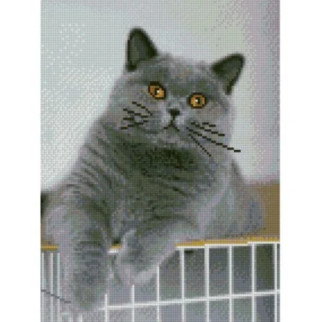 Алмазна мозаїка "Цікавий котик" 30х40 см - Інтернет-магазин спільних покупок ToGether