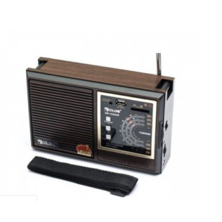 Радіоприймач Golon RX-9933-UAR - Інтернет-магазин спільних покупок ToGether